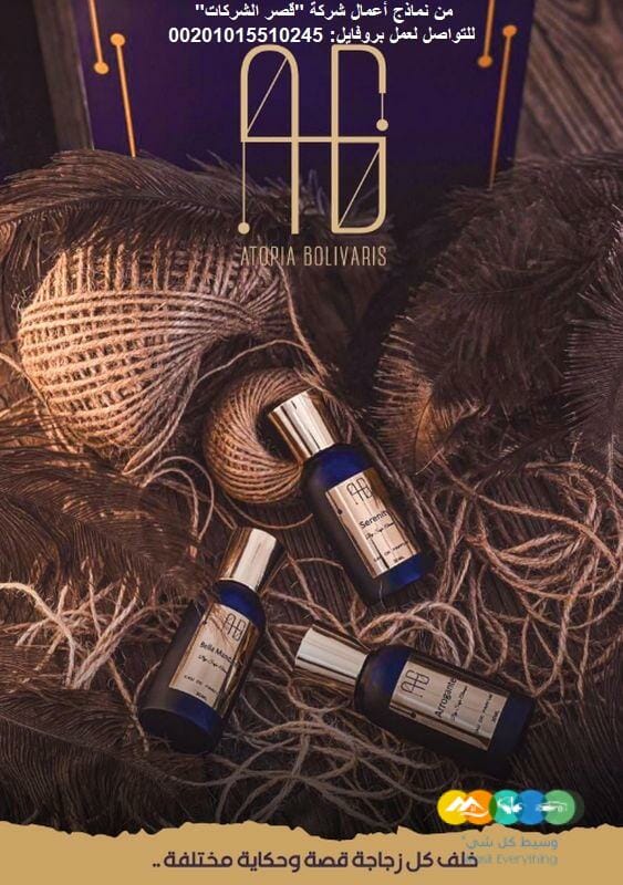 عروض أسعار تصميم بروفايل