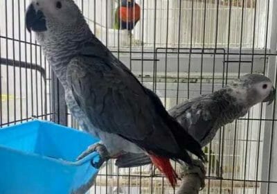 87e66bd3-c19f-470f-82d3-20db004f32fb