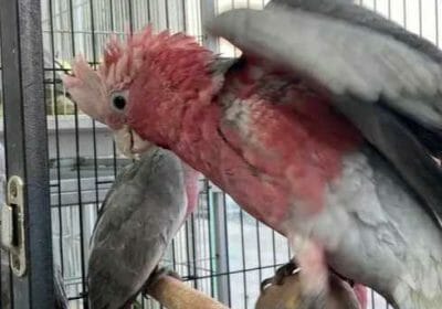 98b4ca35-1d4a-48cd-880d-d697fa365467