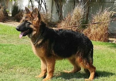 b8cd7f83-bd44-4201-b194-aba37b2216aa