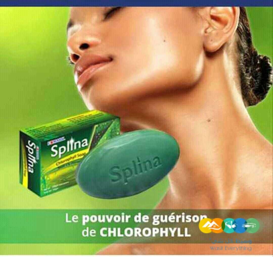 صابون ‏الكلوروفيل سبلينا