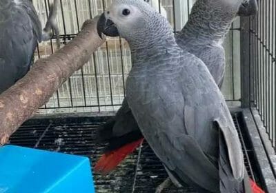 cd3ed54e-fd10-43f8-afe6-86120a3a81a4