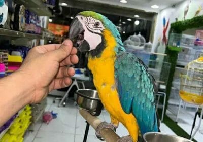 d6f70843-1177-4f3a-af69-07369fbe9153