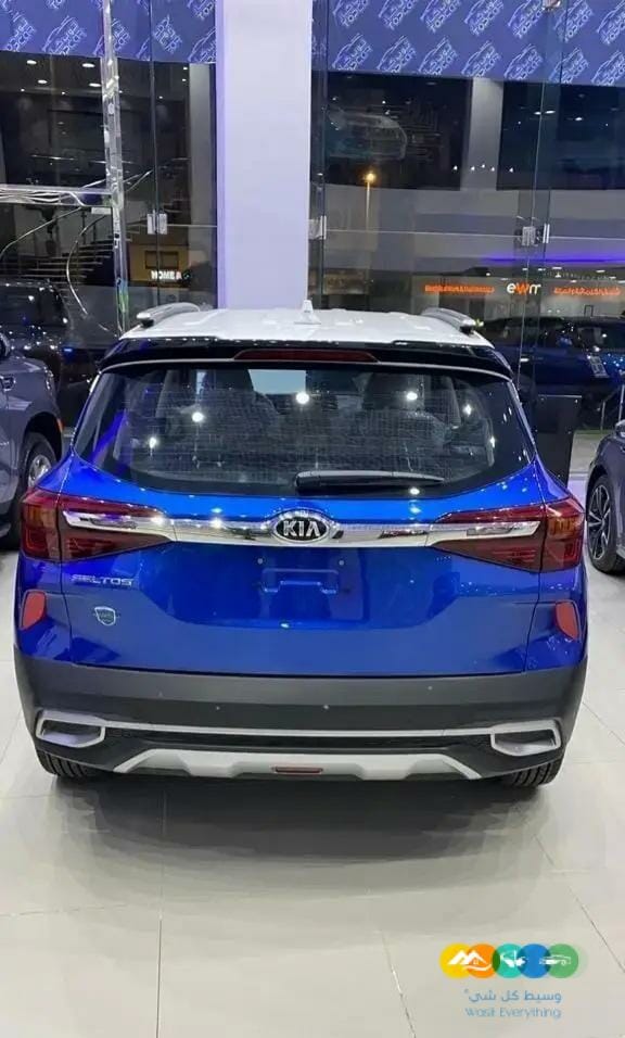 سيلتوس جميع الفئات كاش واقساط