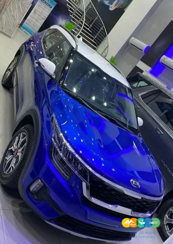 سيلتوس جميع الفئات كاش واقساط