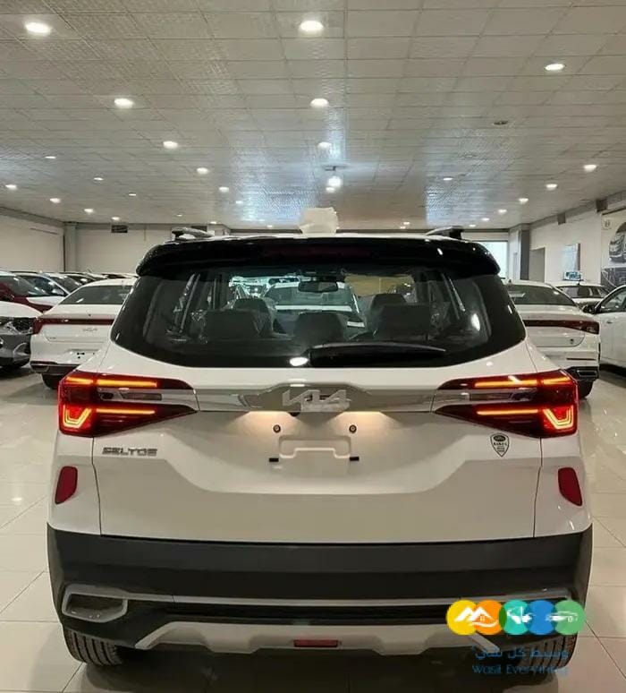 سيلتوس تشغيل عن بعد نص بصمه