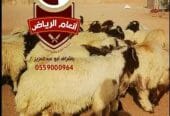 ذبايح فاخره وجبره