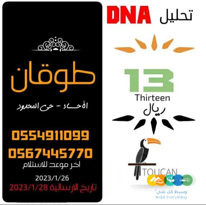 عرض ولا في الاحلام تحليل طيور