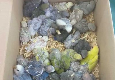 1f99663a-6abf-4ce3-b99e-d4b085d7daa6