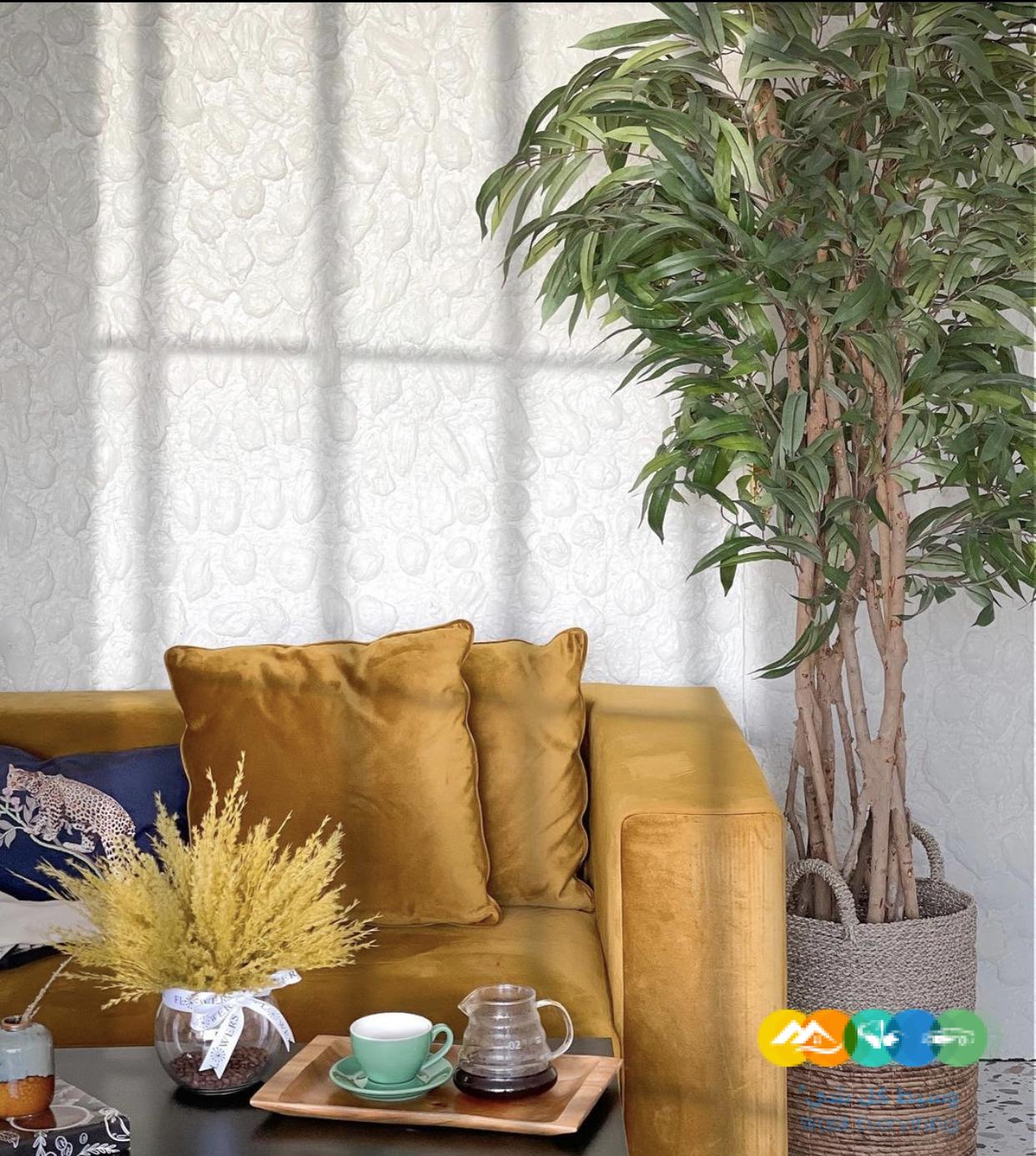 كوفي قهوه مختصه اسم معروف