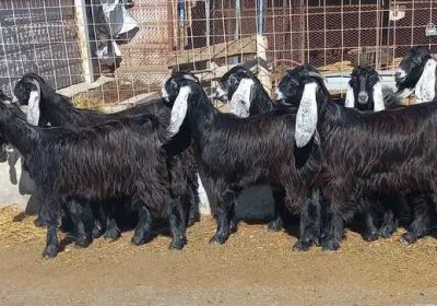 571f39b5-86c8-4c9c-9137-ddd3dd59d2af