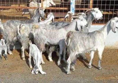 5f83f2bd-bcab-4452-a45c-d62f217c8ac2