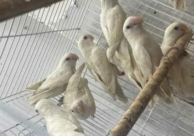 70a58331-755c-4a1a-afb8-01acfd1d2f0c