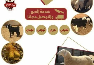 96456fa0-28ed-4c67-b5f8-4f10d9e747b2