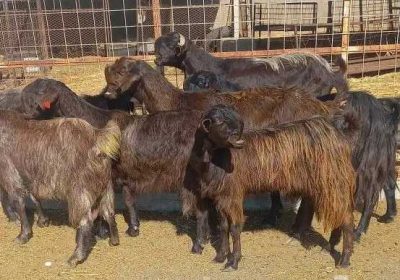 ad24302f-6d4c-47bc-bb87-c8c7e6155690