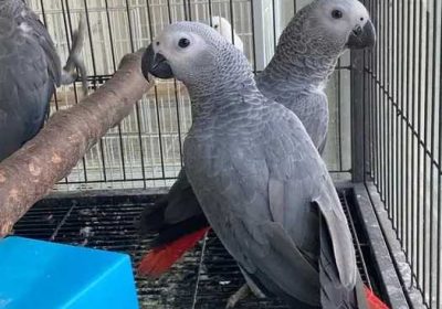 2ddf5a48-a3be-4990-848f-5aff21729f5c