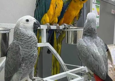 2e78f7ca-d0f7-4ec2-bd13-ad677db7b484