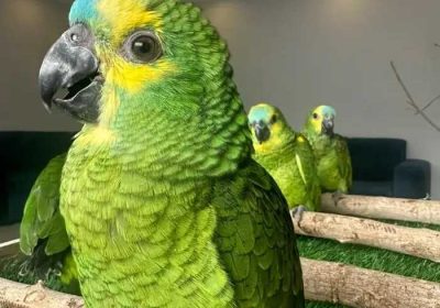 88dc9f7a-20b1-4731-8507-60c22609d0ad