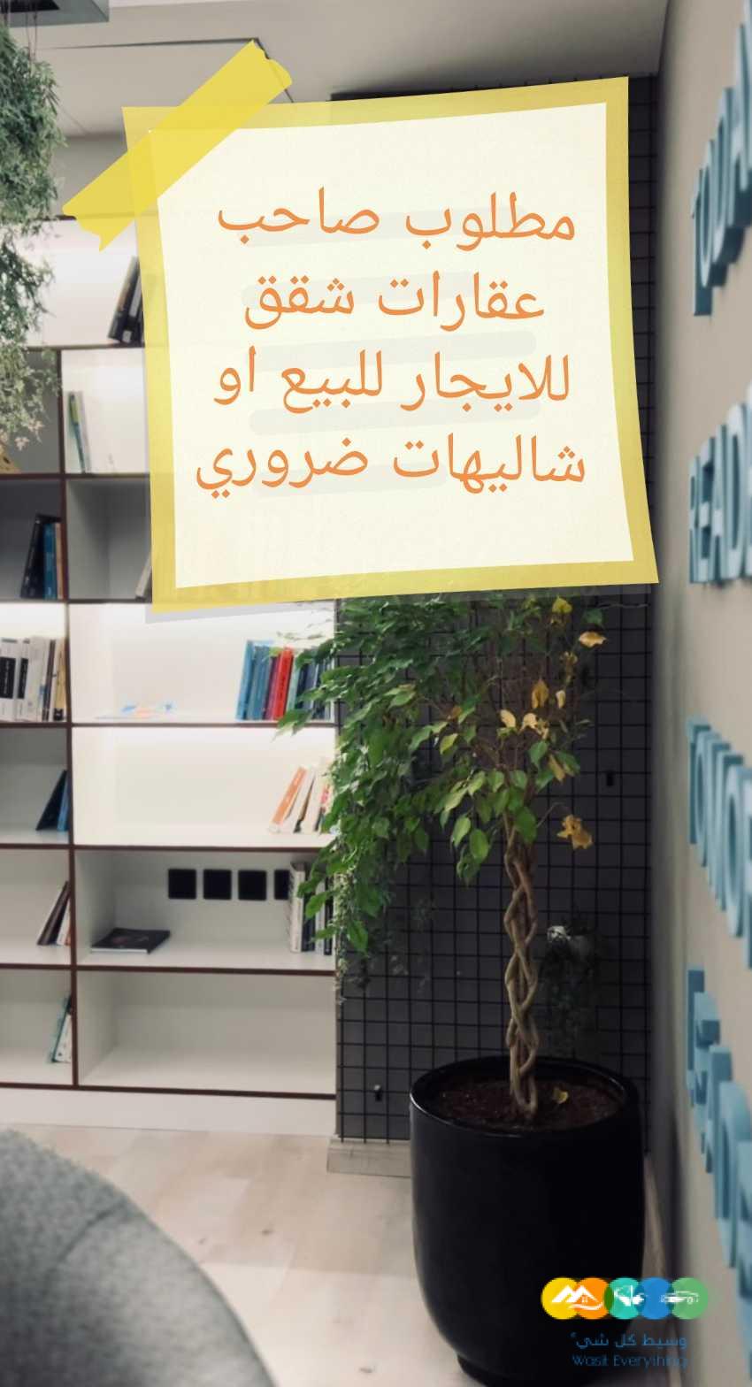 مطلوب شقق للايجار من المالك