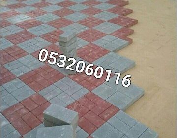 IMG_20221101_07083780670907521107