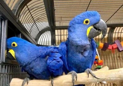 WhatsApp-Image-2023-01-31-at-18.31.59