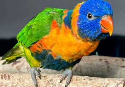 b408eb56-5987-40b1-bdf1-becdba461bf0