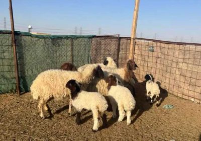 bc83c7bd-3196-496c-950c-0f3d88c4ee0b