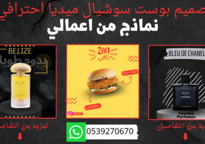 255683333