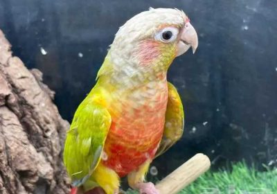 a496dbf9-3a35-4e91-9ce5-aec5c37e2f20