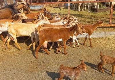 c06f24a3-449b-47f1-8f13-bf8b23c0dbcd