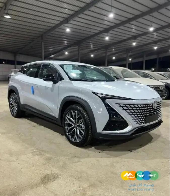 شانجان يوني تي 2023 / تم البيع