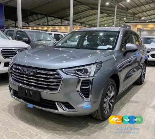 هافال جوليان بيسك 2023 ستاندر