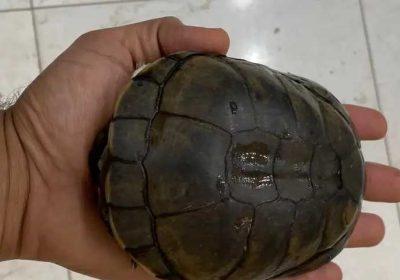 6767d2c1-9181-4e86-bc3a-1cc01a1c753c