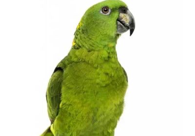 7608b56e-af09-48b3-8edf-98330acf735e