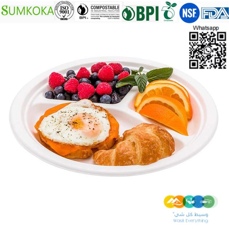 لوحة قصب السكر القابلة للتحلل