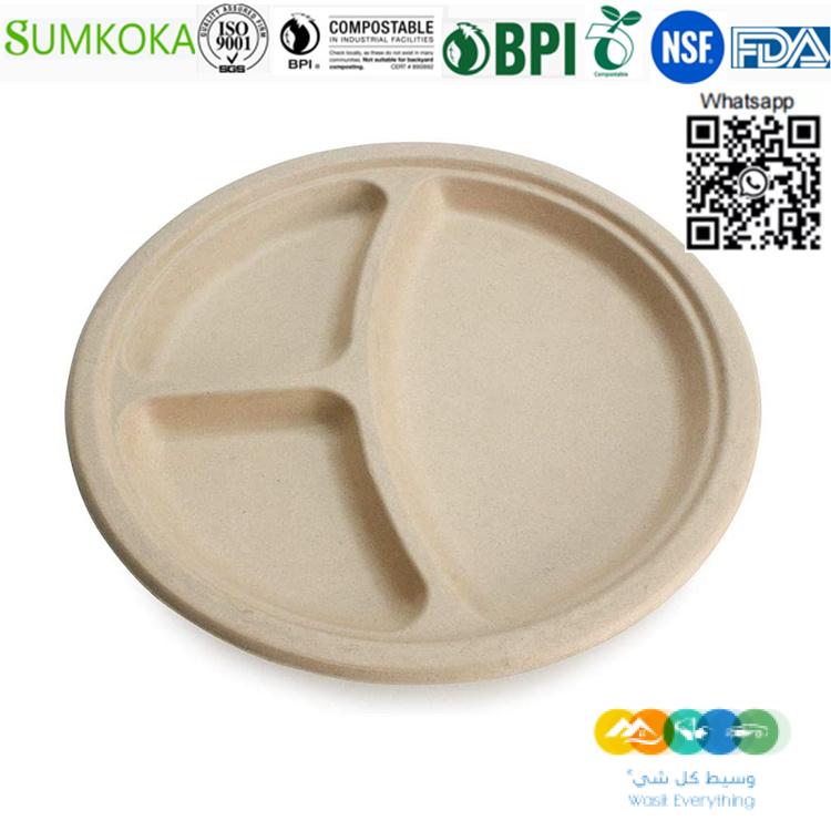 لوحة قصب السكر القابلة للتحلل