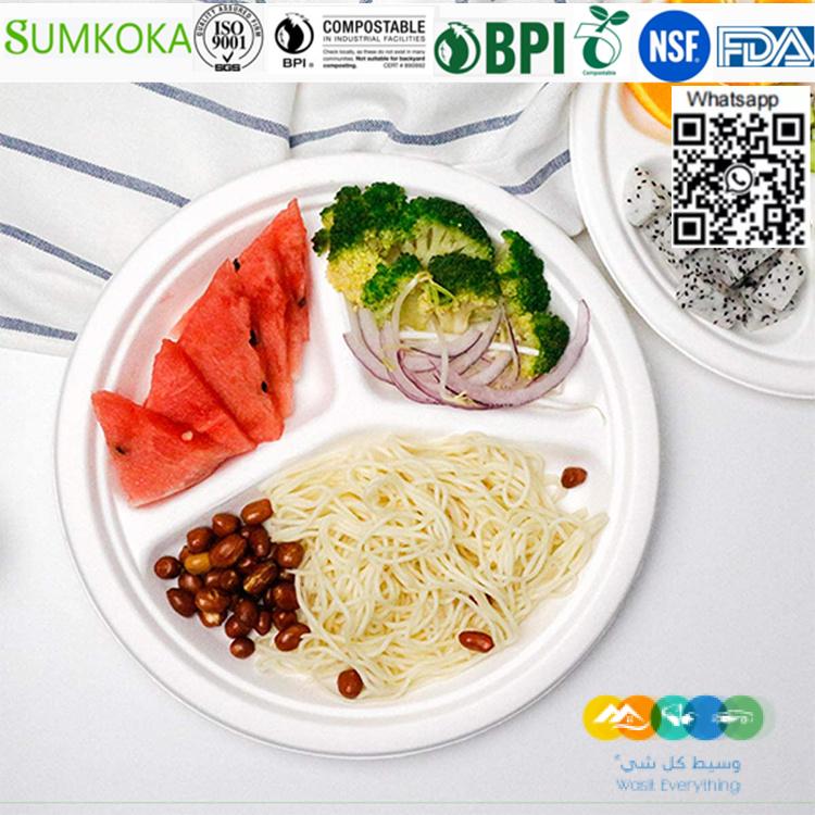 لوحة قصب السكر القابلة للتحلل