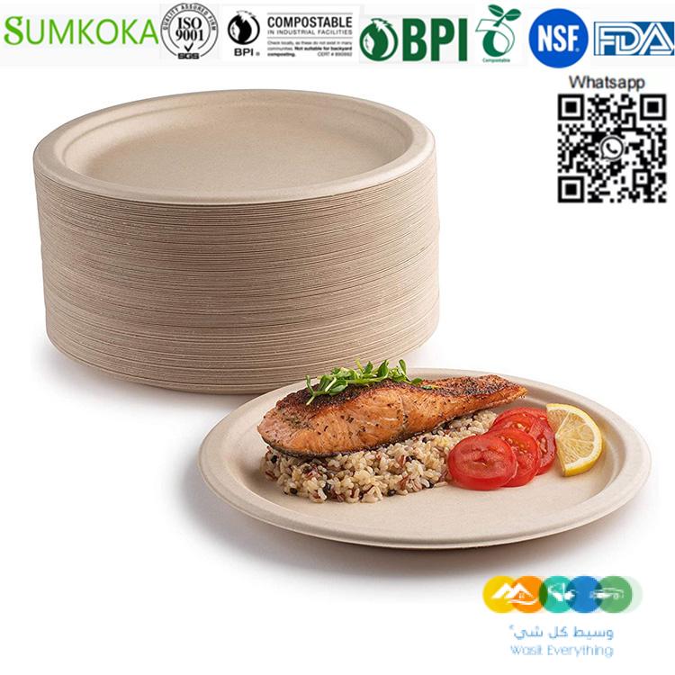 لوحة قصب السكر القابلة للتحلل