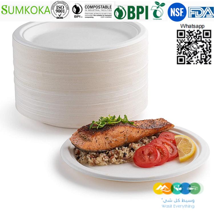 لوحة قصب السكر القابلة للتحلل