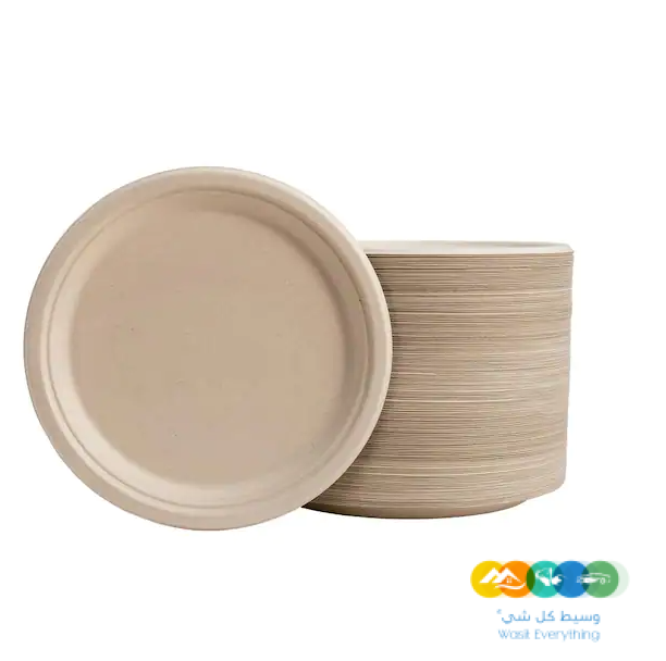 لوحة قصب السكر القابلة للتحلل