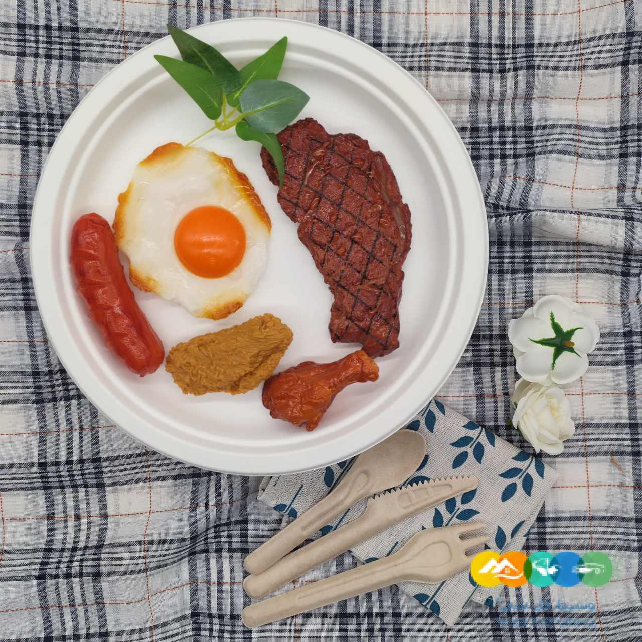 لوحة قصب السكر القابلة للتحلل