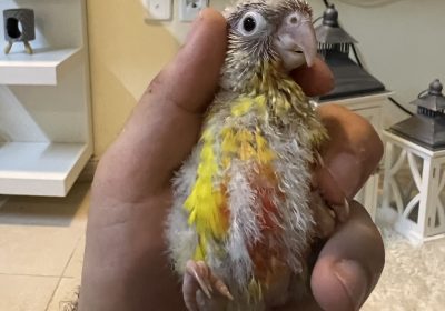 1CDBB947-9563-4266-875D-AC90EDDCEAE0