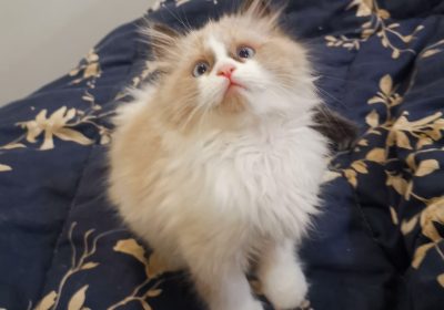 21F0D78E-317D-4E5E-BC51-D8ABA6A66B3E