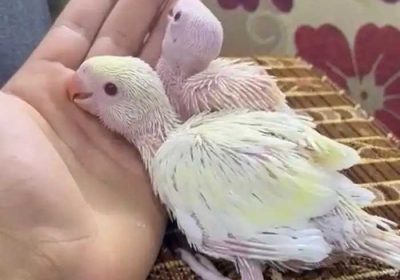 25de0ee7-224a-4f2a-b5ba-1c53ebec93c1