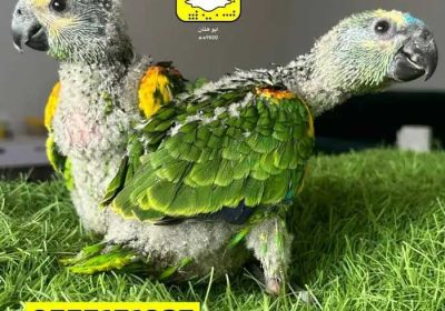 3056a5a5-b2da-41f3-9e7a-dc1f28d27cfb