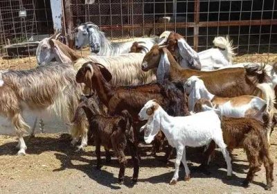 62e43cc4-fbc2-4365-b056-f24215e3ed95