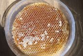 عسل بلدي طبيعي من انتاج مدينه الطايف