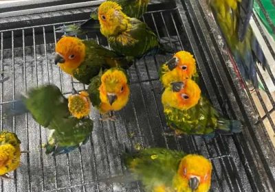 b05ecd6f-b970-40f4-a0e5-f8c933dd26b5