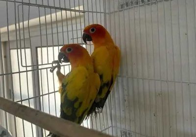 09844e95-f914-4e25-8545-82f57b900d4d