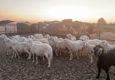 4C4E20F5-BB04-4653-A3E2-AFF6B50066C9